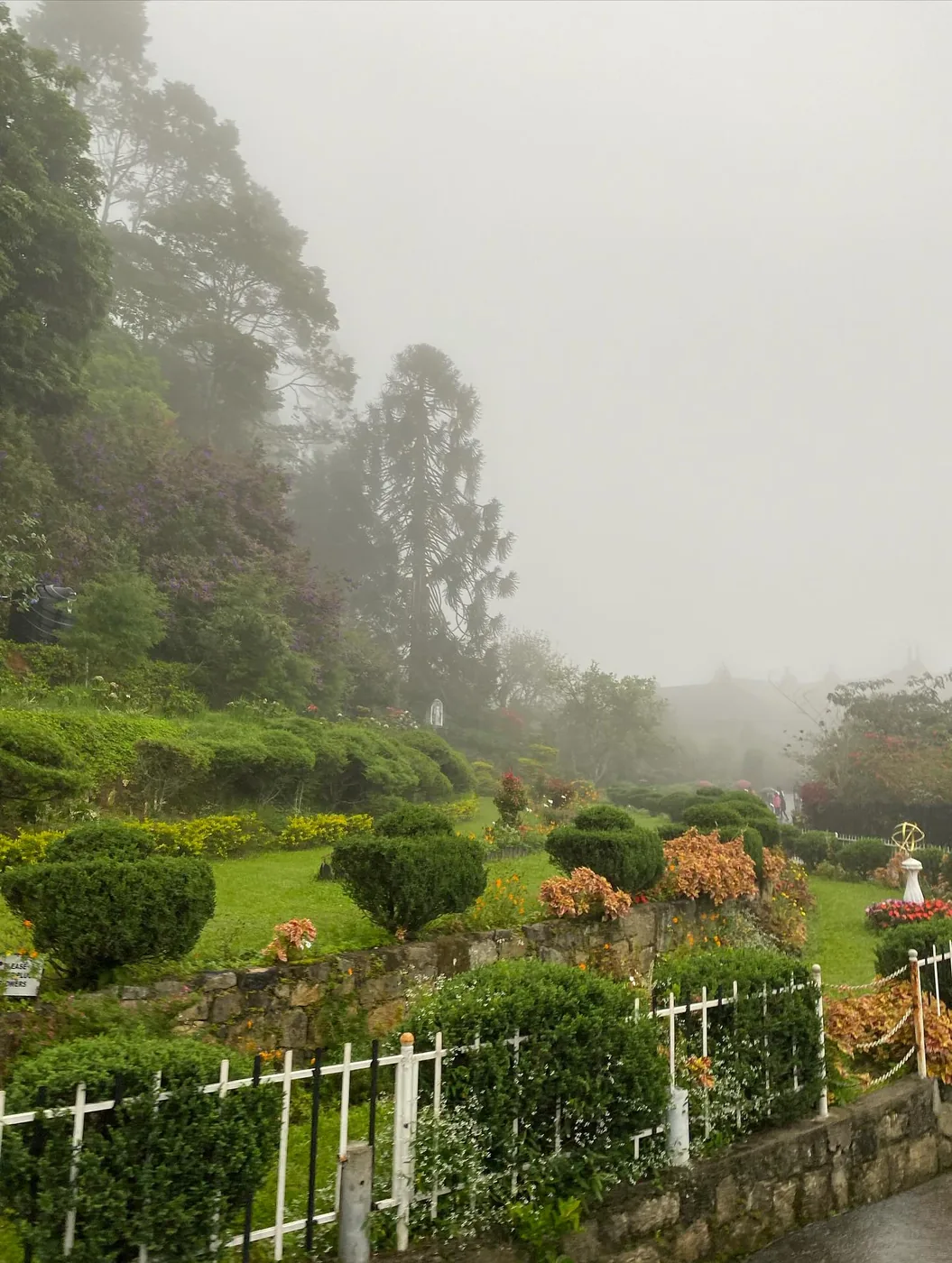 Manicured gardens at Adisham Bungalow on a misty morning