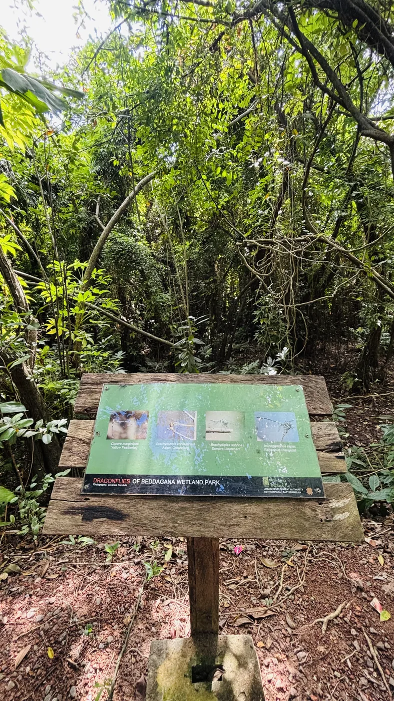 Information board describing the birds and plants at Beddagana Wetland Park