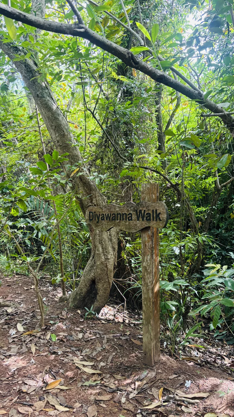 The Diyawanna Walk trail sign at Beddagana Wetland Park