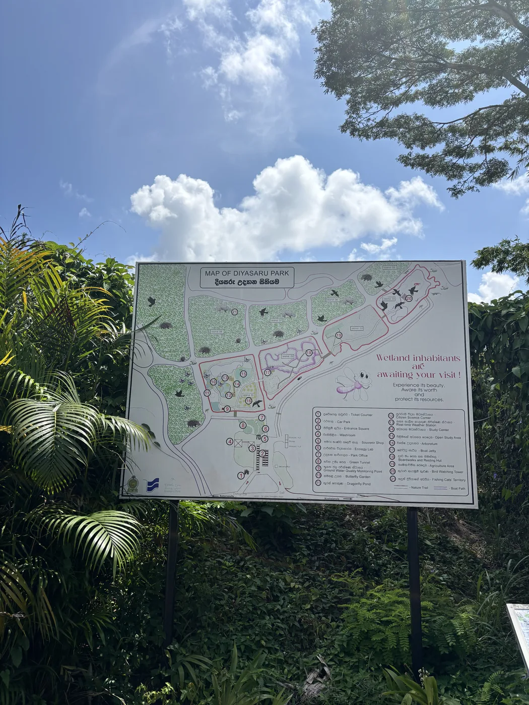 Visitor map of the trails at Diyasaru Park, Colombo