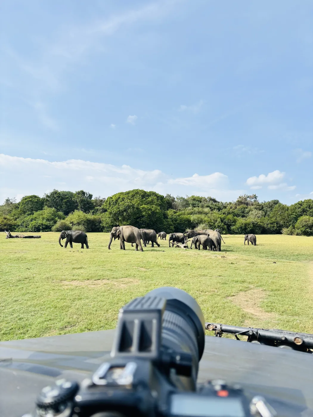 Telephoto camera lens on a safari jeep pointed at a herd of elephants in the distance at Kaudulla