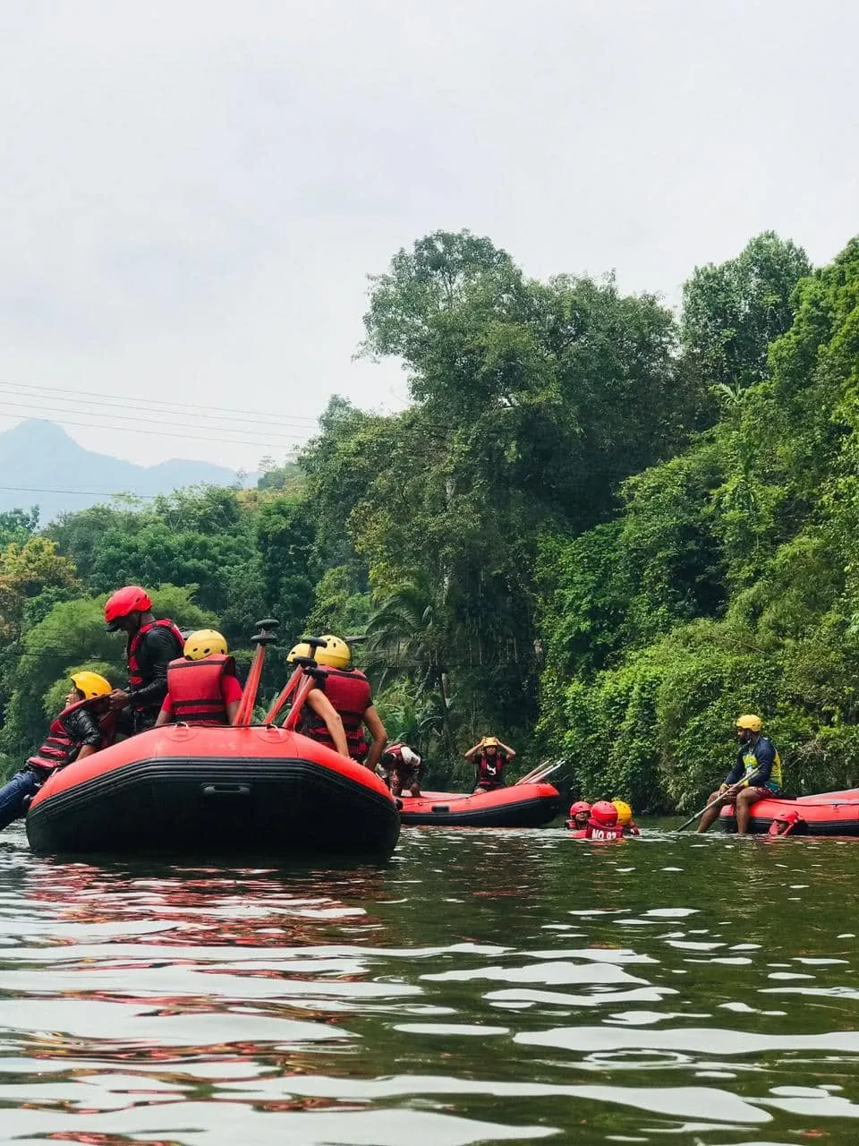 Rafts drifting on a flat stretch of the Kelani River at Kitulgala