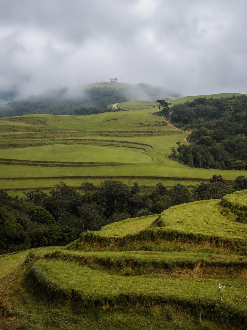 Terraced green plains at Moon Plains with the viewpoint deck in the distance