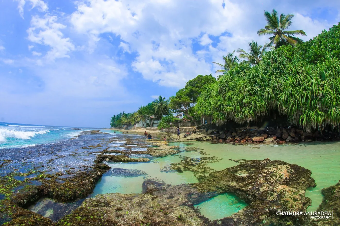 The reef and palm-lined coastline at Talpe Beach on the south coast