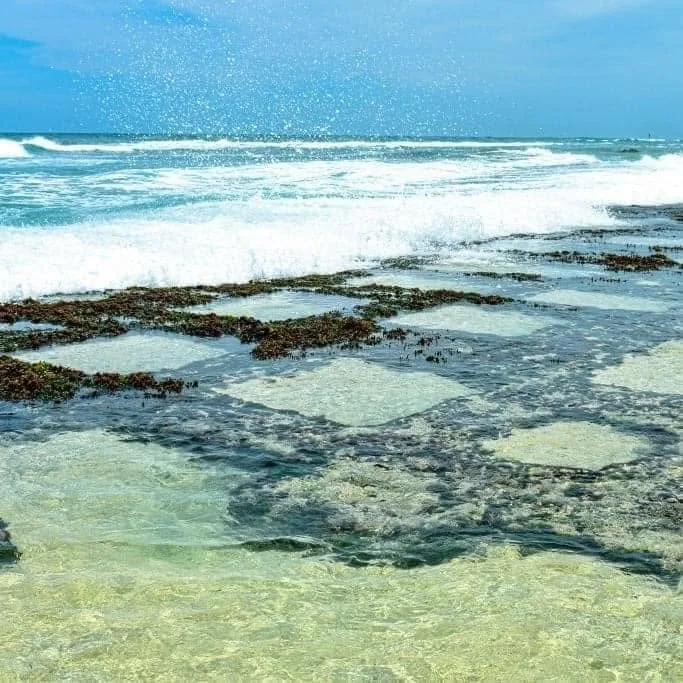 Waves washing over the coral reef and rock pools at Talpe Beach