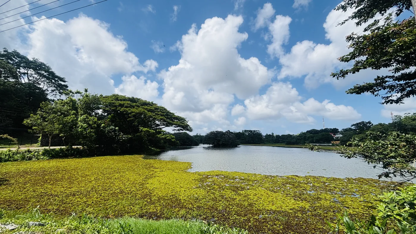 Wetlands in Colombo, Sri Lanka: Where to Go, What to See & How to Visit