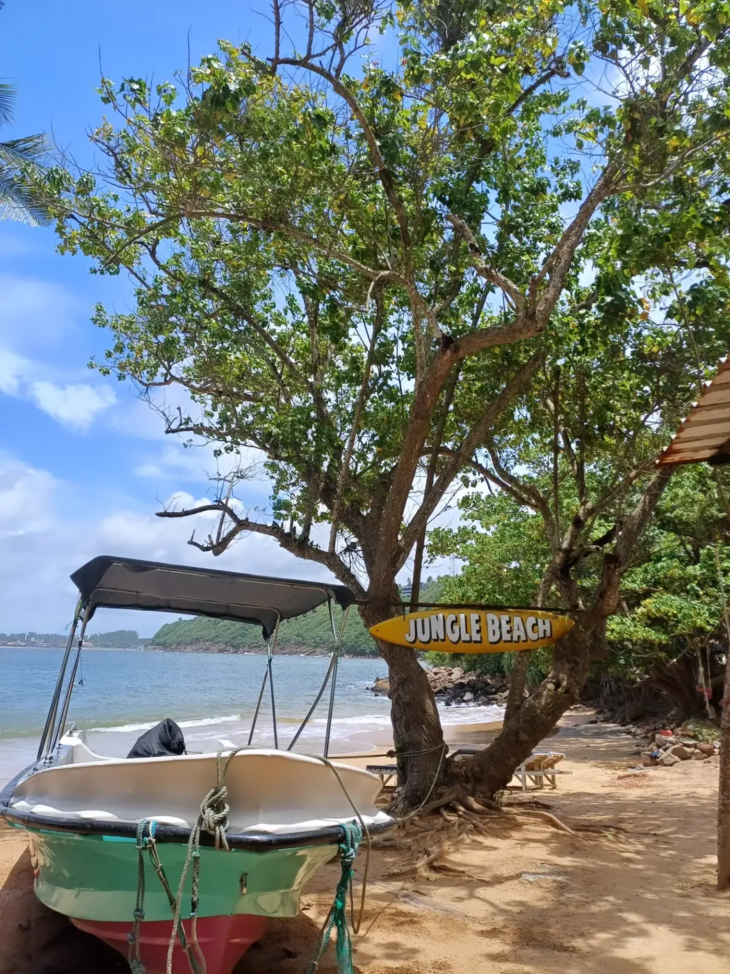Small boat pulled up on the sand beneath a tree with a Jungle Beach surfboard sign