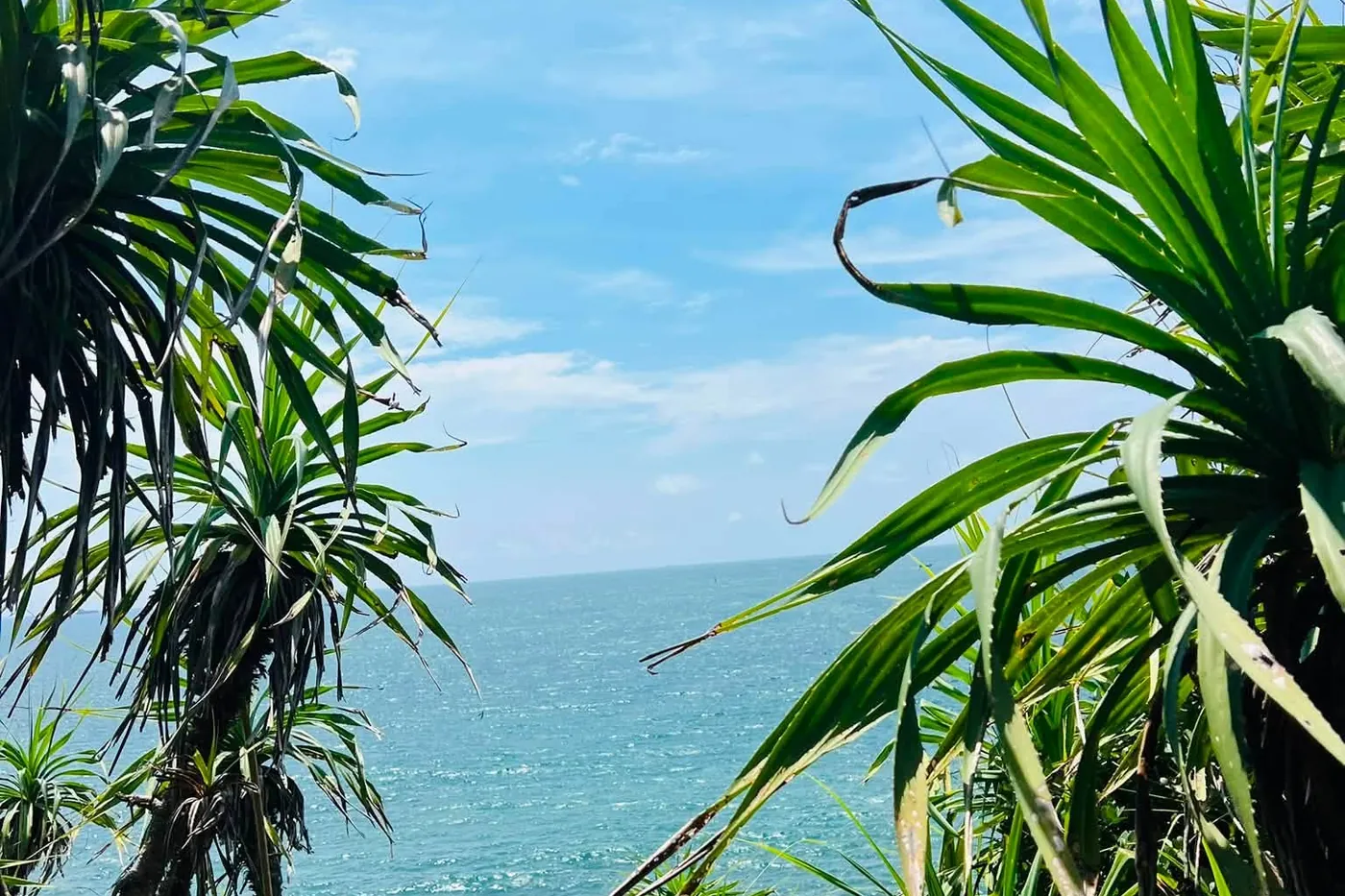 Jungle Beach, Sri Lanka: A Guide to Where the Jungle Meets the Sea