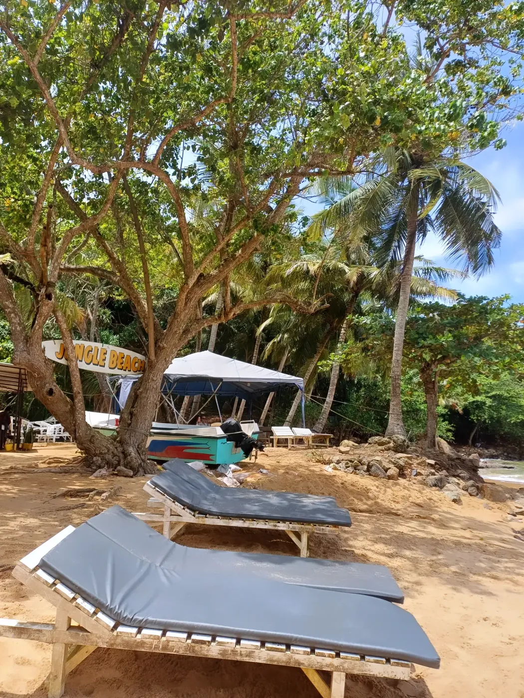 Sun loungers set up in the shade of trees on the sand near a boat at the quieter white beach