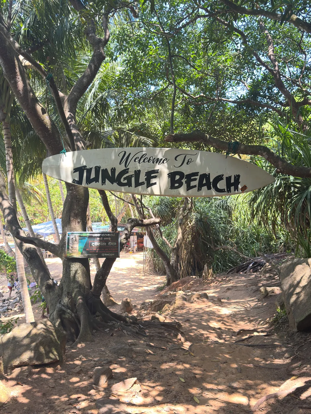 Surfboard-shaped Welcome to Jungle Beach sign hanging over the shaded path to the beach