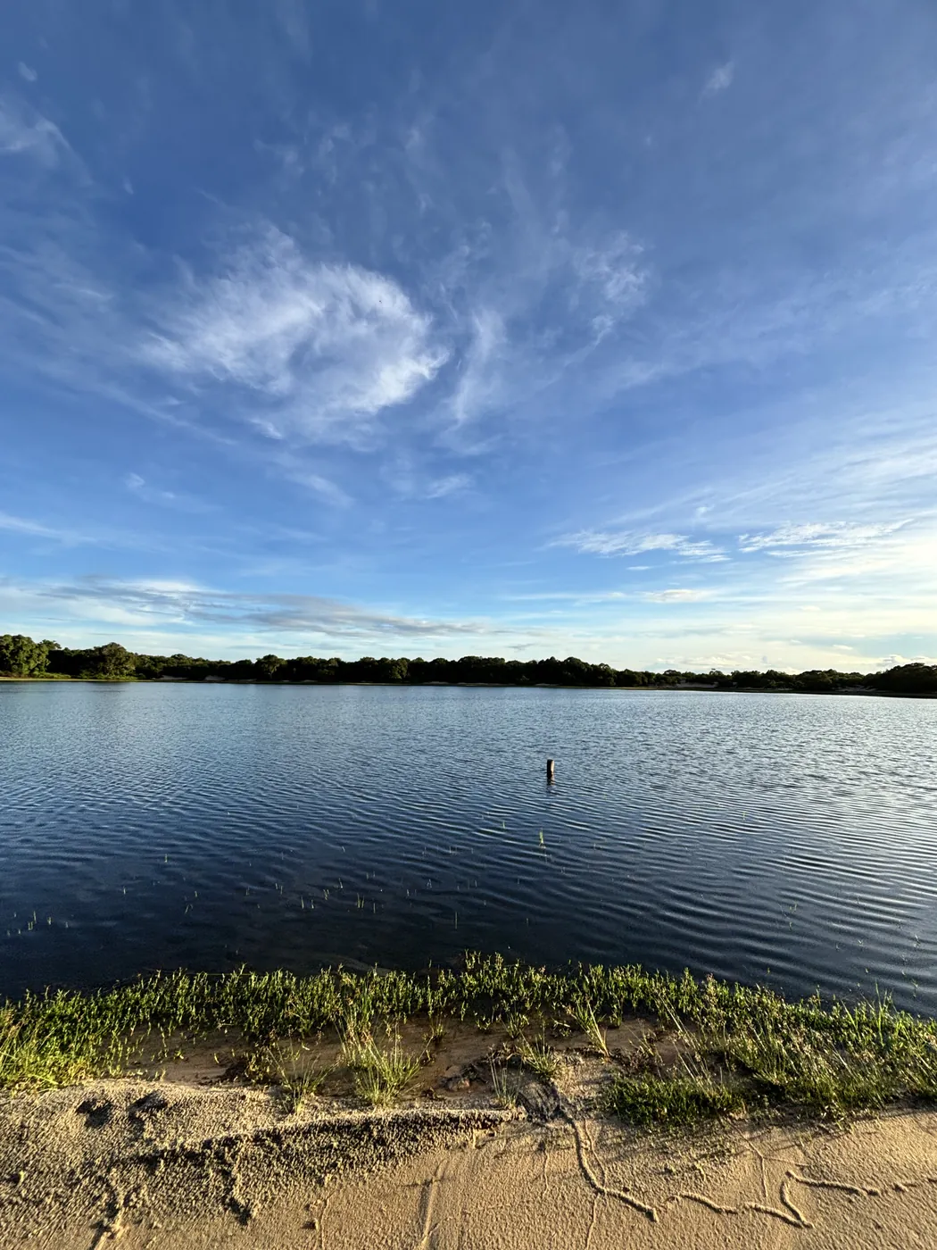 Shallow villu lake with grassy banks under a wide blue sky in Wilpattu National Park